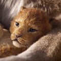 5 reasons to fall in love with The Lion King