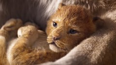 5 reasons to fall in love with The Lion King
