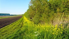 Nedbank announces R25m boost to safeguard water, biodiversity and job security