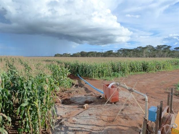A maize field irrigated with groundwater in Zambia. This is one of the most popular crops in sub-Saharan Africa and critical to food security across the region. Richard Taylor, Author provided