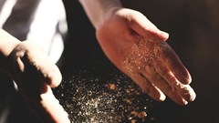 The core of food safety is centralised bakery facilities