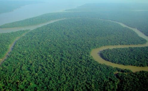 Undeveloped regions such as the Amazon rainforest are critical resources for slowing climate change. ,