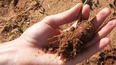 Investing in the future of food and agriculture - farm better, not bigger