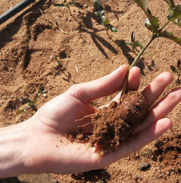 Investing in the future of food and agriculture - farm better, not bigger