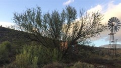 What Appeal Court's fracking judgment means