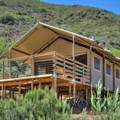 Boutique glamping at Africamps at Pat Busch