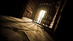 Image source: Gallo/Getty.