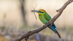 Image credit: Geoff Park on Unsplash.