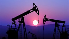 Robert Lucian Crusitu/Shutterstock