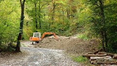 The pitfalls of confessing to past environmental law transgressions