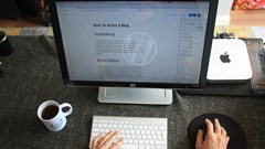 Image credit: Fikret tozak on Unsplash.