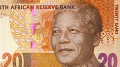 Central banks and other financial sector regulators have not always paid adequate attention to the sector’s impact on the environment. Shutterstock