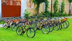 How young Africans are going green in business