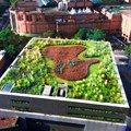 Green roofs, like this one in Sao Paulo, Brazil, have many benefits. Leonardo Ikeda/Shutterstock