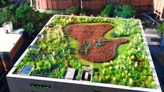 Green roofs, like this one in Sao Paulo, Brazil, have many benefits. Leonardo Ikeda/Shutterstock