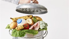 South Africa wastes 10m tonnes of food annually