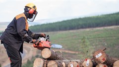 Image Supplied: ©Ludwig Sevenster