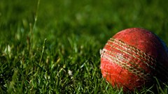 Image credit: Alessandro Bogliari on Unsplash.