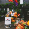 Truman & Orange to manage sales and distribution of Bloedlemoen Gin
