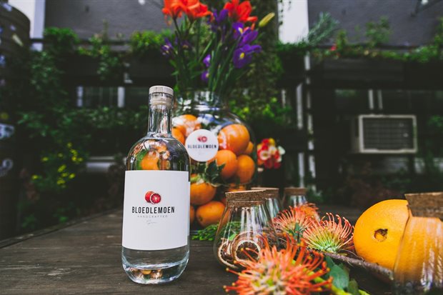 Truman & Orange to manage sales and distribution of Bloedlemoen Gin