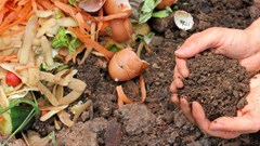 What you need to know about the new draft laws for Organic Waste Composting
