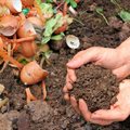 What you need to know about the new draft laws for Organic Waste Composting