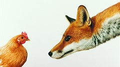 Image source: Gallo/Getty Images.