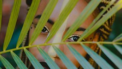 Image credit: Rachel Pfuetzner on Unsplash.