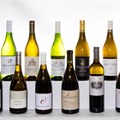 FNB Sauvignon Blanc Top 10 announces its top 20 finalists
