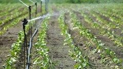 Lesotho Highlands Water Project tunnel to shutdown for maintenance
