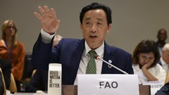 FAO director-general calls on food industry to do more to support healthy foods