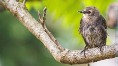 Image credit: Andy Holmes on Unsplash.