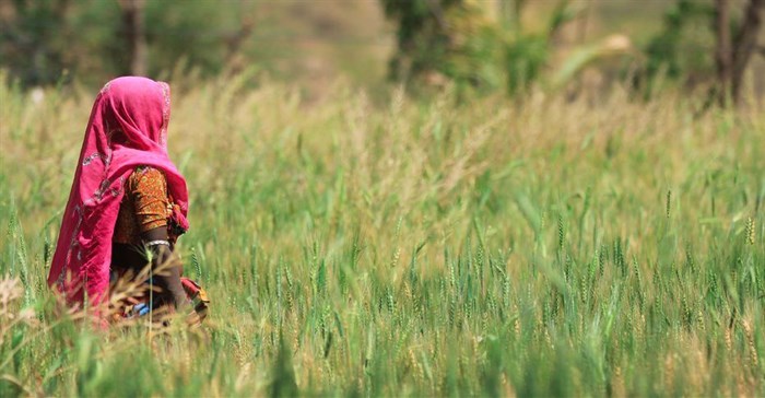 Food systems development needs a new trajectory - FAO director-general