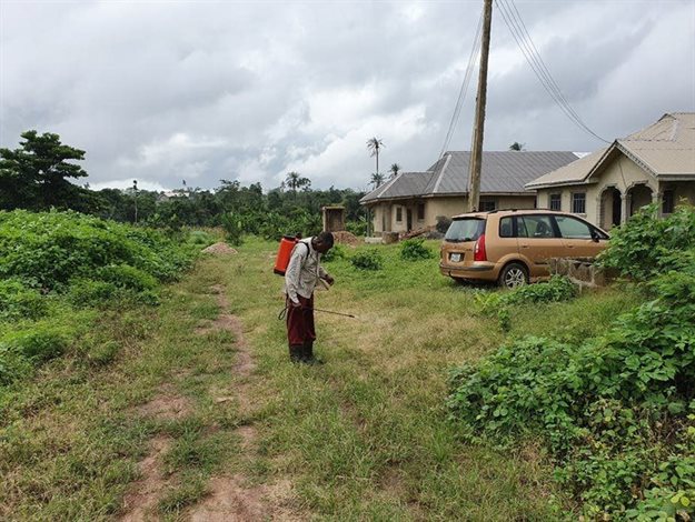 On Akure’s edges, which used to be mainly farmland, buildings are taking over. Author supplied