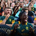 Image credit: Springbok Supporters' Club