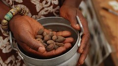 How Shea Origin's Mobola Sagoe is empowering women in Nigeria