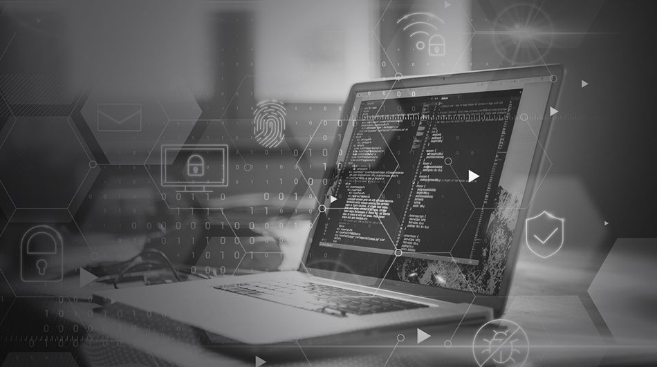 Everlytic releases affordable Microsoft Dynamics messaging plugin