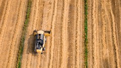 Reshaping food systems with innovation and knowledge