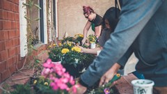 Image credit: NeONBRAND on Unsplash.