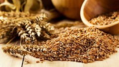 Global food prices held steady in September - FAO Food Price Index