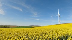 Klipheuwel Wind Farm