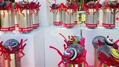 Winners of the 2019 BASA Awards, partnered by Hollard