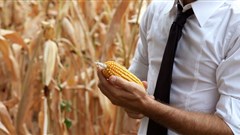 Food inflation outcomes on the downside for September 2019