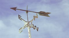 Image credit: Jordan Ladikos on Unsplash.