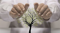 Parliament revives environmental management amendment bill