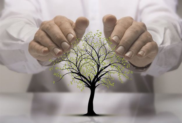 Parliament revives environmental management amendment bill