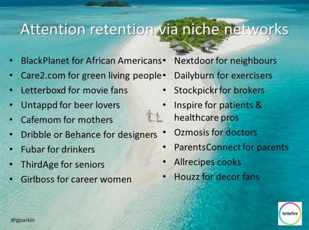 Social Media Landscape Briefings 2019: The fragmentation of social media into niche social platforms