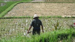 Rome Summit takes bold step toward agroecology