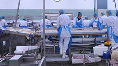 New regulations take aim at listeriosis