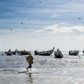 EU targets fragile West African fish stocks, despite protection laws